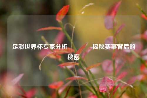 足彩世界杯专家分析👈揭秘赛事背后的秘密
