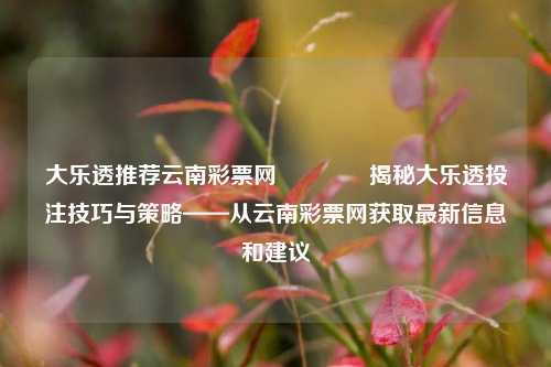 大乐透推荐云南彩票网👉揭秘大乐透投注技巧与策略——从云南彩票网获取最新信息和建议