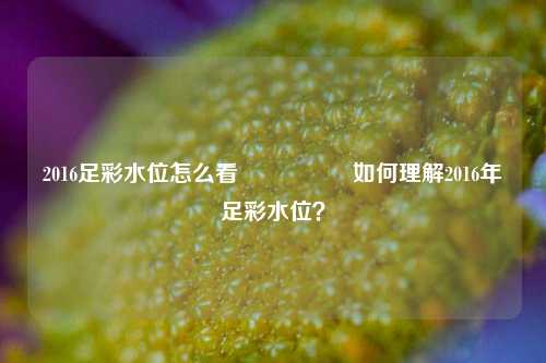 2016足彩水位怎么看🎖️如何理解2016年足彩水位？