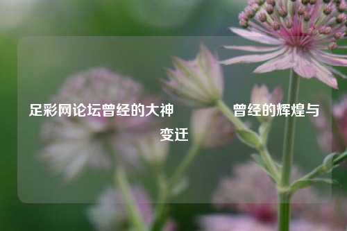 足彩网论坛曾经的大神🥈曾经的辉煌与变迁