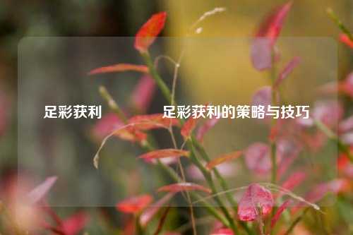 足彩获利🥉足彩获利的策略与技巧