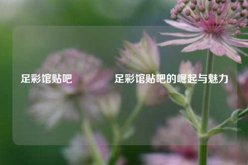 足彩馆贴吧🥈足彩馆贴吧的崛起与魅力