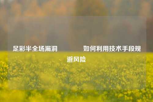 足彩半全场漏洞🏆如何利用技术手段规避风险