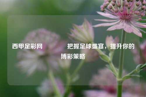 西甲足彩网🌈把握足球盛宴，提升你的博彩策略