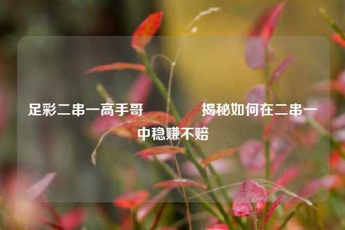 足彩二串一高手哥👈揭秘如何在二串一中稳赚不赔