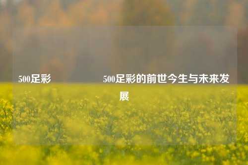 500足彩🎖️500足彩的前世今生与未来发展