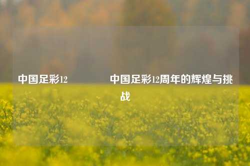中国足彩12🌈中国足彩12周年的辉煌与挑战