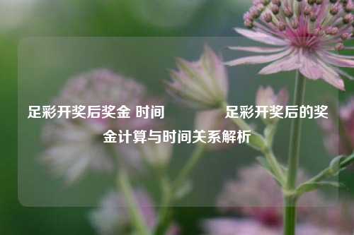 足彩开奖后奖金 时间🏅足彩开奖后的奖金计算与时间关系解析