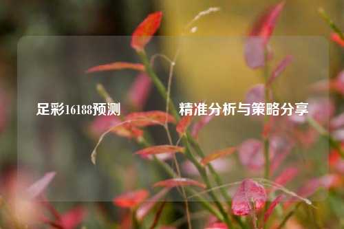 足彩16188预测🏅精准分析与策略分享