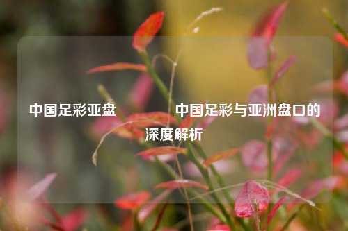 中国足彩亚盘👍中国足彩与亚洲盘口的深度解析