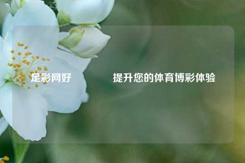 足彩网好🏅提升您的体育博彩体验