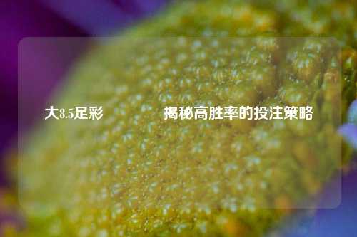 大8.5足彩🥇揭秘高胜率的投注策略