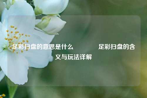 足彩扫盘的意思是什么🏆足彩扫盘的含义与玩法详解