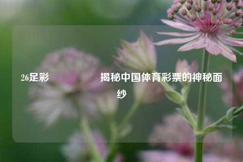26足彩🎖️揭秘中国体育彩票的神秘面纱