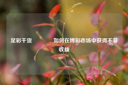足彩干货👍如何在博彩市场中获得不菲收益