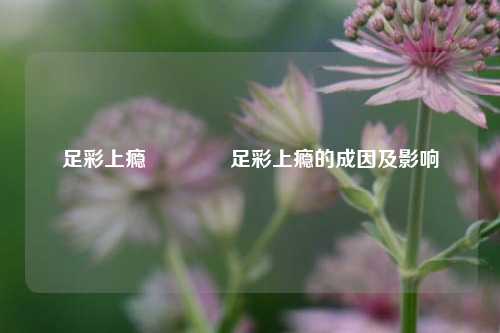 足彩上瘾🏅足彩上瘾的成因及影响