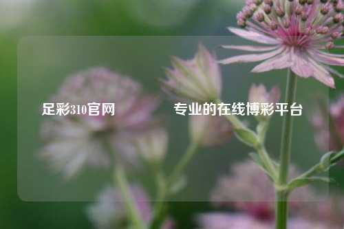 足彩310官网🏆专业的在线博彩平台