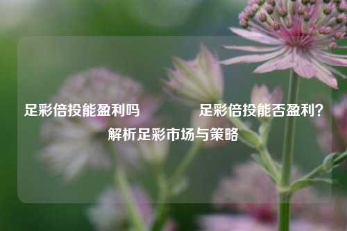 足彩倍投能盈利吗👍足彩倍投能否盈利？解析足彩市场与策略
