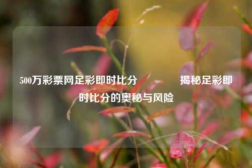500万彩票网足彩即时比分👉揭秘足彩即时比分的奥秘与风险