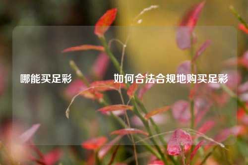 哪能买足彩👍如何合法合规地购买足彩