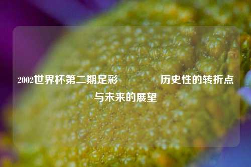 2002世界杯第二期足彩🏅历史性的转折点与未来的展望