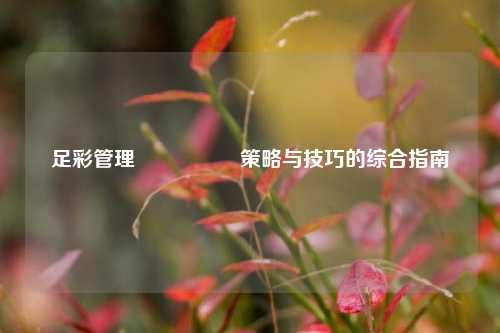 足彩管理🎖️策略与技巧的综合指南