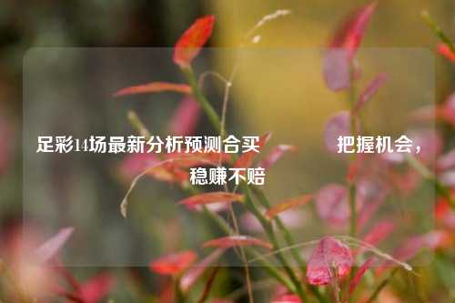 足彩14场最新分析预测合买🥉把握机会，稳赚不赔
