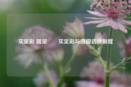 买足彩 国足✌️买足彩与国脚选拔制度