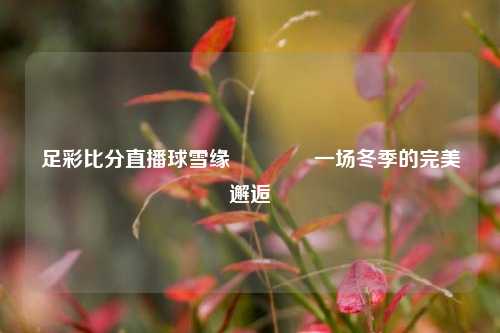 足彩比分直播球雪缘🏅一场冬季的完美邂逅