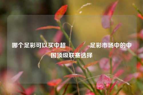 哪个足彩可以买中超👉足彩市场中的中国顶级联赛选择