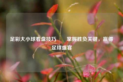 足彩大小球看盘技巧✌️掌握胜负关键，赢得足球盛宴