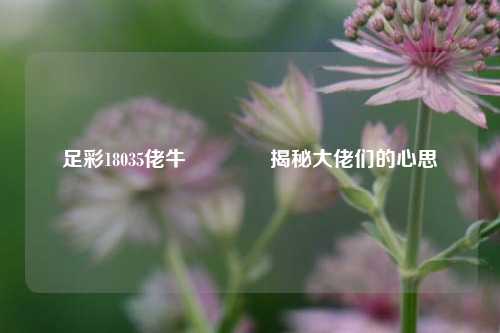 足彩18035佬牛🏆揭秘大佬们的心思