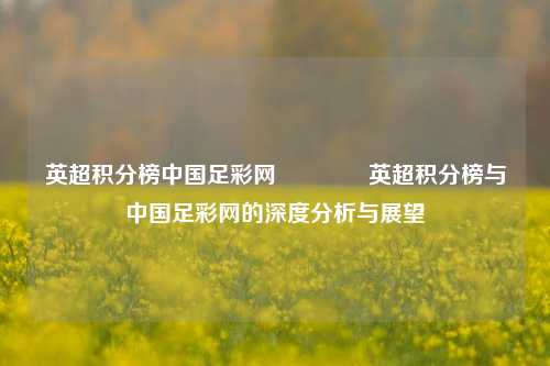 英超积分榜中国足彩网🥈英超积分榜与中国足彩网的深度分析与展望
