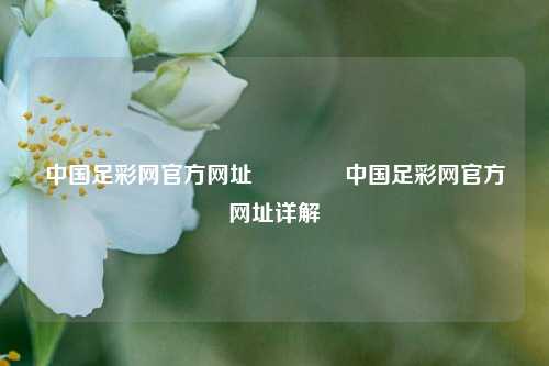 中国足彩网官方网址🥈中国足彩网官方网址详解