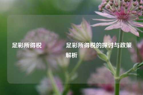 足彩所得税🥉足彩所得税的探讨与政策解析