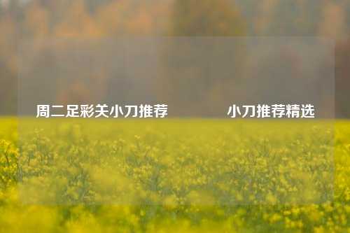 周二足彩关小刀推荐🥇小刀推荐精选