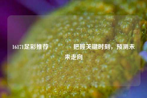 16171足彩推荐🌈把握关键时刻，预测未来走向