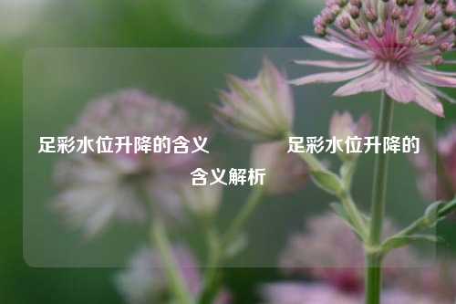 足彩水位升降的含义🥈足彩水位升降的含义解析