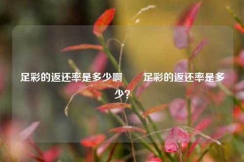 足彩的返还率是多少啊✌️足彩的返还率是多少？
