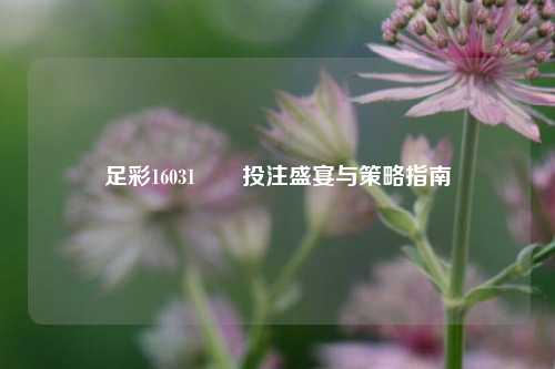 足彩16031✌️投注盛宴与策略指南