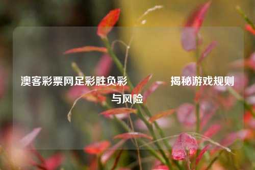 澳客彩票网足彩胜负彩🥈揭秘游戏规则与风险