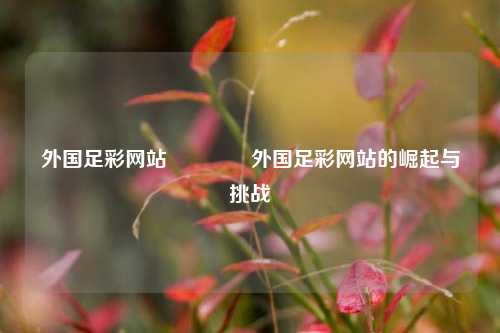 外国足彩网站🥉外国足彩网站的崛起与挑战