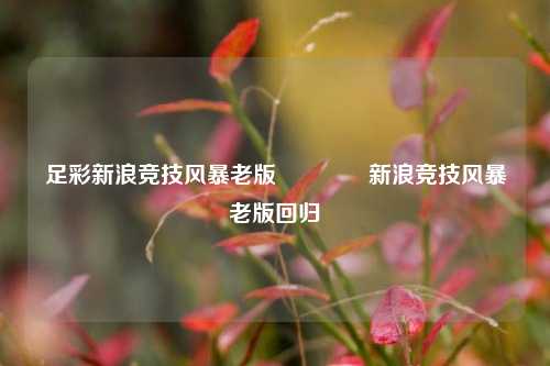 足彩新浪竞技风暴老版👈新浪竞技风暴老版回归