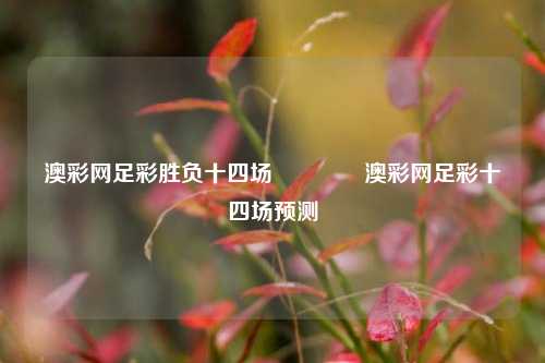 澳彩网足彩胜负十四场👈澳彩网足彩十四场预测