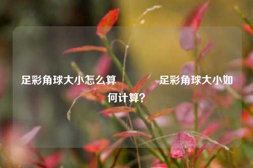 足彩角球大小怎么算👉足彩角球大小如何计算？