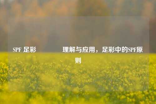 SPF 足彩🏆理解与应用，足彩中的SPF原则