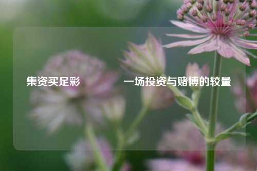 集资买足彩🏅一场投资与赌博的较量