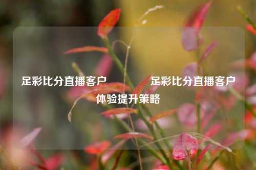 足彩比分直播客户🌈足彩比分直播客户体验提升策略