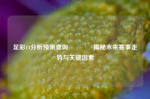 足彩14分析预测查询🏅揭秘未来赛事走势与关键因素