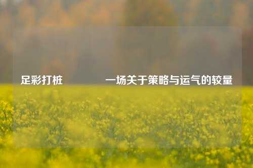足彩打桩👉一场关于策略与运气的较量